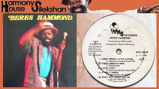 IF ONLY I KNEW ♦Beres Hammond♦