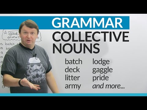 Collective Nouns in English: How to talk about groups of people and things