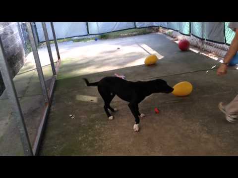 Reuben loves his toys!