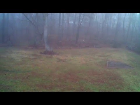 P121315B     FOG 102