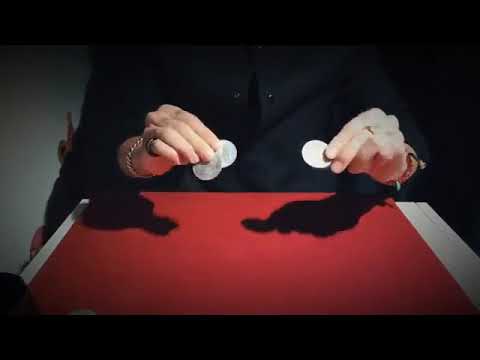 Morgan Dollar Shell and Coin Set (4 Coins 1 Shell)