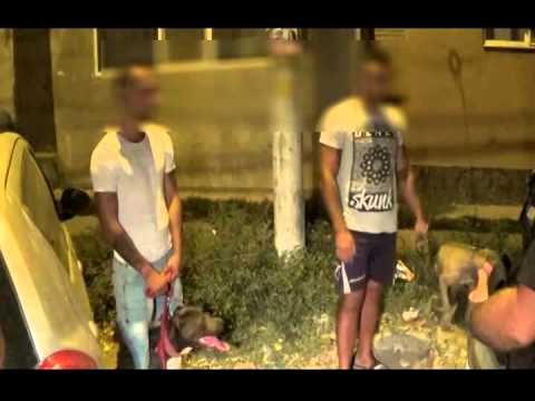 ACTIUNE JANDARMERIA BRAILA