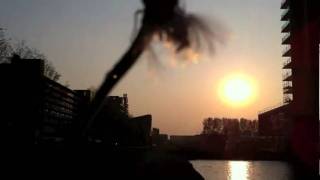 MVlog 20.04 dandelion blues