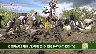 Ecuador busca recuperar la fauna de las islas Galápagos