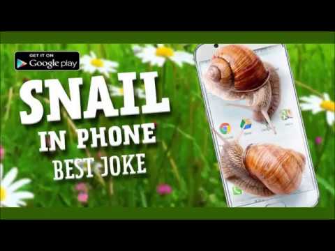 Snail in Phone best joke Video