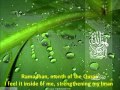 Maher Zain - Ramadan 