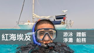 Red Sea Sailing Adventure! Hiding from the Wind, Beach Cleanup & Boat Life with Friends