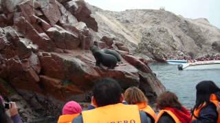 preview picture of video '2 Aug 2013 - Ballesta Islands, Paracas, Peru'