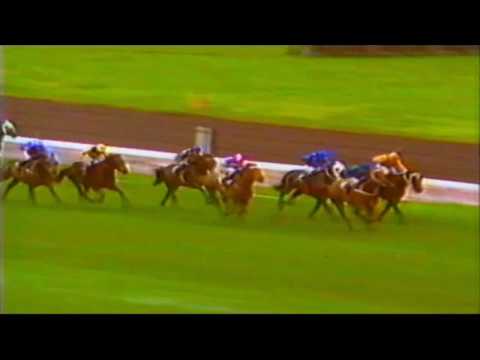 1988 VRC Ascot Vale Stakes Day _   Flemington