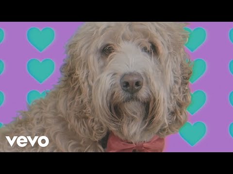 Video thumbnail for Wild At Heart