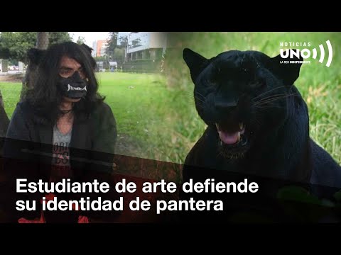 The Bogota native who defends his own identity as a panther | Noticias UNO