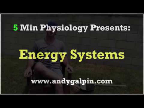 Energy Systems - How The Body Uses Fat, Carbs, & Protein For Fuel: 5 Min Phys