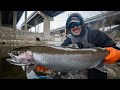 Urban Steelhead Fishing- FLOAT DROPS!