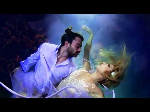 DJ Black Panther Team..David Jacek - Where Are You ? *SynthPop / Italo Dream* Mflex Sounds 2017