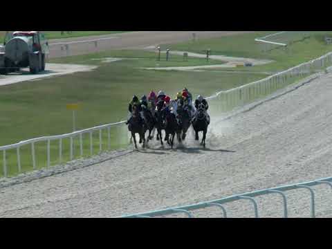 2018.07.29. 07. futam - AMATŐRVERSENY HENDIKEP (IV.o.) (szintetikus pálya)