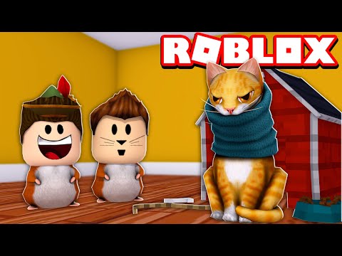 download lagu mp3 mp4 Hamster Por, download lagu Hamster Por gratis, unduh video klip Download Hamster Por Mp3 dan Mp4 Music Gratis