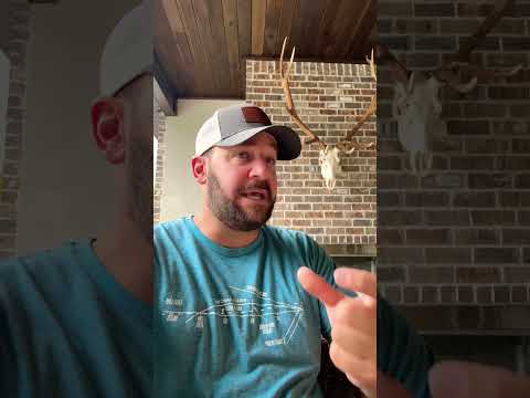 They Just Said The Quiet Part Out Loud… #shortsfeed #langley #congress #shortsvideo Thumbnail