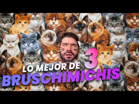 LO MEJOR DE LOS BRUSCHIMICHIS 3 - PABLO BRUSCHI