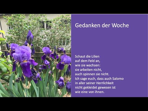 Gedanken der Woche (20.05.2020)