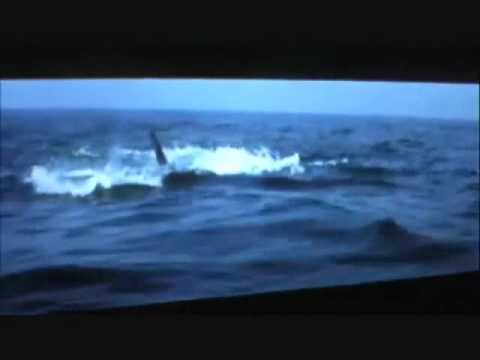 Blackhawks Eliminate Sharks