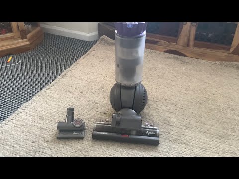 Dyson dc 40 animal first look