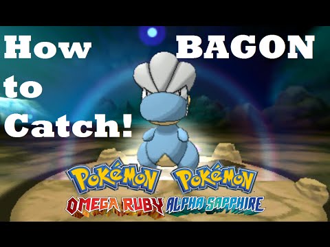 Pokemon Omega Ruby and Alpha Sapphire HOW TO CATCH/FIND BAGON IN METEOR FALLS!