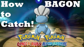 Pokemon Omega Ruby and Alpha Sapphire HOW TO CATCH/FIND BAGON IN METEOR FALLS!
