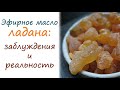 Эфирное масло ладана: свойства и мифы Эфирное масло ладана: свойства и мифы