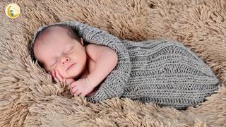 Download lagu 3 JAM ♫♫ Musik Untuk Perkembangan Otak Bayi ♫♫ Musik Pengantar Tidur ♫♫ lagu pengantar tidur anak mp3 Download lagu 3 JAM ♫♫ Musik Untuk Perkembangan Otak Bayi ♫♫ Musik Pengantar Tidur ♫♫ lagu pengantar tidur anak mp3