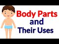Body Parts Name Body Parts For Kids Parts Of Body Body Parts And Their Uses Bodyparts Evs