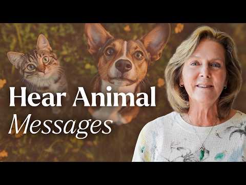 The #1 Animal Communication Tool YOU NEED! | Tami Hendrix