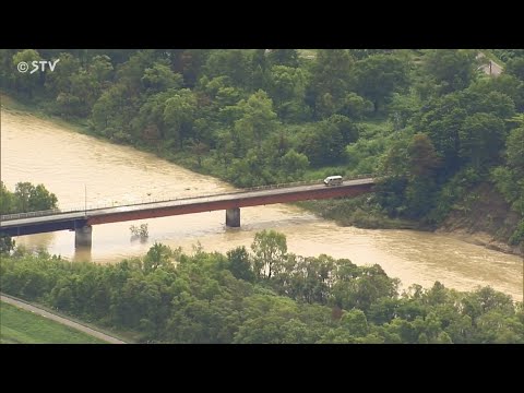 庭を雨から守る: この春の洪水と戦うために今すぐ植えるべき 5 本の木  庭園