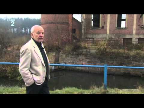 Metuzalém - Pět modelů úspěšného stárnutí