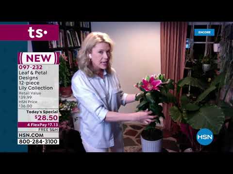 HSN | Outdoor Living 05.07.2021 - 04 AM