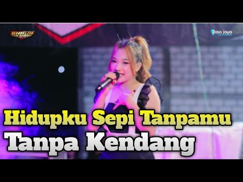 DIN ANESIA - HIDUPKU SEPI TANPAMU TANPA KENDANG NGUK