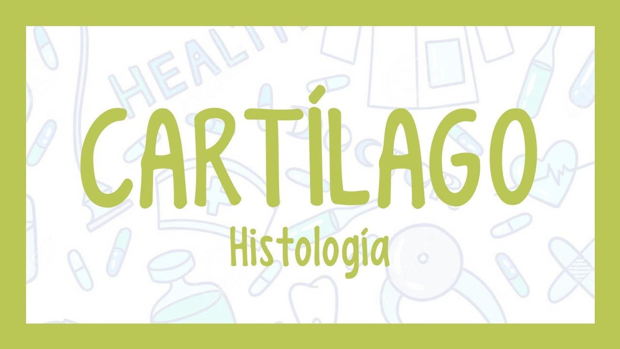 CARTÍLAGO| ¡Fácil explicación! (Histología)