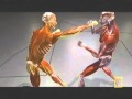 Boxing More Power From Your Punches