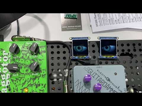 NAMM Oddities 2020 - Electro-Faustus "Eyes"
