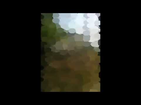 Goce Petreski Donka ja posvrsija 1998 god so pejsaz od selo Podles