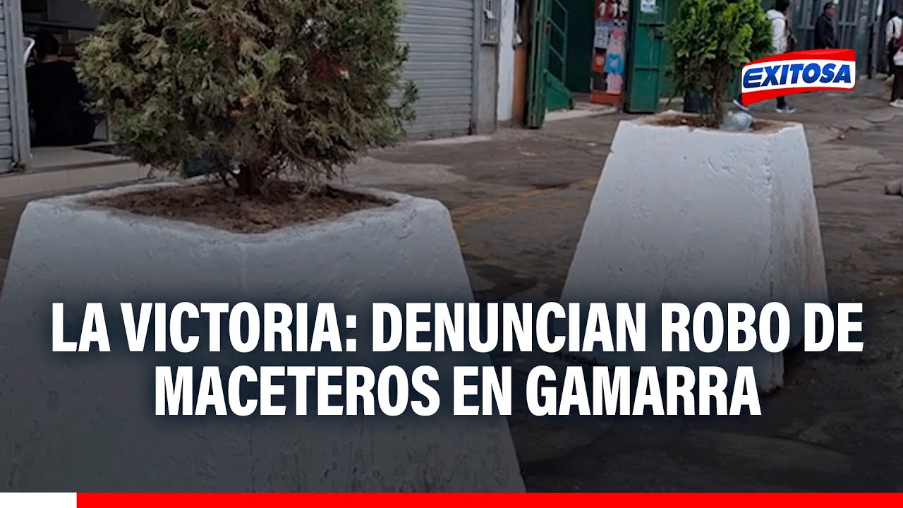 🔴🔵 La Victoria: Denuncian robo de maceteros en el Damero B de Gamarra