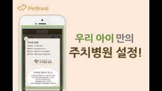 주치동물병원 설정도우미 닥터 아이펫!
