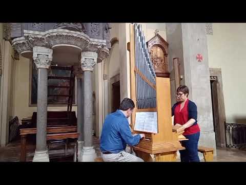 Girolamo Cavazzoni: "Ave maris stella" (A.Corti, gothic organ built by Walter Chinaglia)