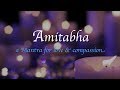 Bradfield :: Amitabha (Live)