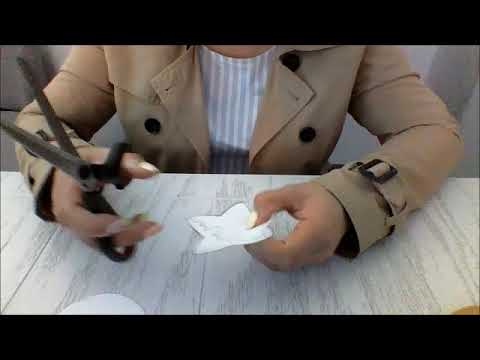 Video donadores horas