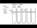 Growth, Metabolism, and Survival of Bacteria / Microbe