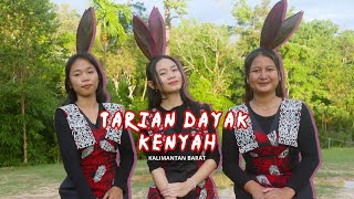 Download lagu Tarian Dayak Kenyah Kalimantan barat (Borneo) kearifan lokal mp3 Download lagu Tarian Dayak Kenyah Kalimantan barat (Borneo) kearifan lokal mp3