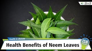 Health Benefits of Neem Leaves