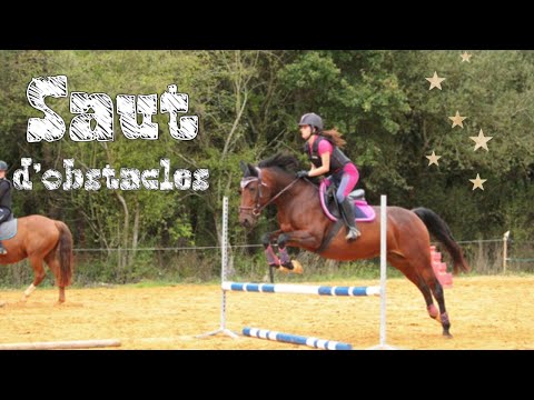 [COURS] Saut d’obstacles ! 5/10/19 - CS’o Landreau