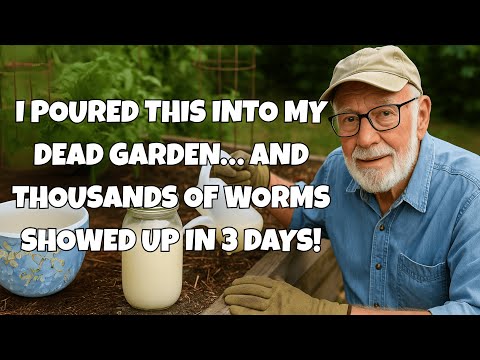 Ich habe das in meinen toten Garten geschüttet … und innerhalb von 3 Tagen sind Tausende von Würm...