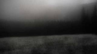 Daylight Dies - Solitary Refinement